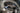 2000 Rienell 240BR - BoardCo Boats
