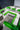 2015 Mastercraft X55 - BoardCo Boats