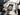 2020 Centurion Vi24 - Black / SkyBlue - BoardCo Boats