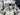 2023 Axis A20 - White / Black - BoardCo Boats