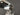 2024 Mastercraft NXT - Blue Flake / White - BoardCo Boats