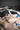 2024 Supreme S240 - Canadian Blue / White - BoardCo Boats