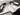 2024 Supreme S240 - Onyx Black / Bahama Blue Flake - BoardCo Boats