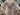 2025 Centurion Fe23 - Olive Flake / White Frost - BoardCo Boats