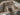 2025 Centurion NV233 - Olive Flake / White - BoardCo Boats