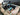2025 Centurion NV233 - White / Spearmint - BoardCo Boats