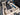 2025 Centurion Ri245 - Blue Flake / Black - BoardCo Boats