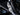 2025 Centurion Ri245 - Blue Flake / Black - BoardCo Boats
