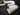 2025 Centurion Ri245 - Blue Flake / Black - BoardCo Boats