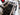 2025 Centurion Ri245 - Stone / Red / Black - BoardCo Boats