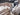 2025 Centurion Ri245 - White / Mocha - BoardCo Boats