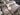 2025 Centurion Ri245 - White / Mocha - BoardCo Boats