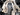 2025 Centurion Ri265 - Black / Gunmetal - BoardCo Boats