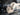 2025 Centurion Ri265 - Black / Gunmetal - BoardCo Boats