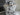 2025 Centurion Ri265 - White Frost / Castano Brown - BoardCo Boats