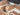 2025 Centurion Ri265 - White Frost / Castano Brown - BoardCo Boats
