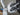 2025 Centurion Ri265 - White Frost / Castano Brown - BoardCo Boats