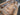 2025 Centurion Ri265 - White Frost / Castano Brown - BoardCo Boats