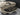 2025 Supreme S240 - Tan - BoardCo Boats