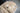 2023 Centurion Fi23 Champagne Flake / White - BoardCo Boats