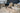 2023 Centurion Fi23 Champagne Flake / White - BoardCo Boats
