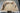 2023 Centurion Fi23 Champagne Flake / White - BoardCo Boats