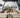 2023 Centurion Ri245 - BoardCo Boats