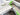 2014 Centurion Enzo SV244 - White / Black / Green - BoardCo Boats