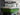 2014 Centurion Enzo SV244 - White / Black / Green - BoardCo Boats