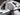 2018 Moomba Mojo - White / Black / Gray - BoardCo Boats