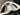 2025 Centurion Ri245 - Black / Black Metal Flake / Light Tan - BoardCo Boats