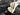 2025 Centurion Ri245 - Black / Black Metal Flake / Light Tan - BoardCo Boats