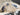 2025 Centurion Ri245 - Steel Blue / White - BoardCo Boats