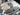 2025 Centurion Ri245 - Steel Blue / White - BoardCo Boats