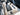 2026 Centurion NV243 - Black / Steel Blue - BoardCo Boats