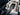 2026 Centurion NV243 - Black / Steel Blue - BoardCo Boats