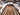 2026 Centurion Ri245 - White Frost / Saddle Brown - BoardCo Boats
