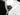 2026 Centurion Ri245 - White Frost / Saddle Brown - BoardCo Boats