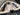 2026 Centurion Ri245 - White / Olive Flake - BoardCo Boats
