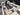 2026 Centurion Ri245 - White / Olive Flake - BoardCo Boats