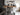 2026 Centurion Ri265 - White / Castano - BoardCo Boats